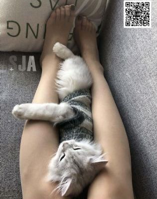好姑娘中文在线观看国语高清版_西瓜视频免费观看